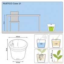 LECHUZA RUSTICO Color