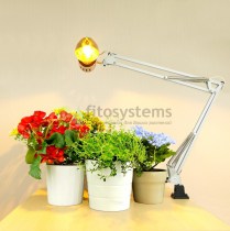 sunlight_dnaz6