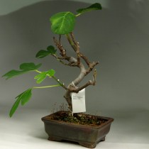 DSC04197