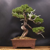 DSCF1778