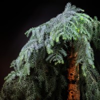 DSC_5837