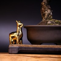 IMG_1746