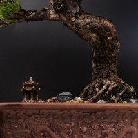 IMG_3214