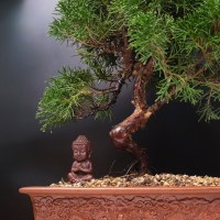 IMG_4787