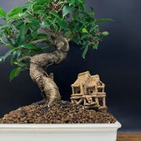 IMG_5148