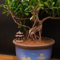 IMG_57942