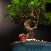 IMG_6322