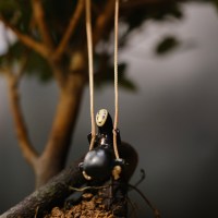 IMG_6509
