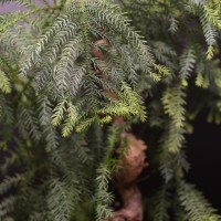 IMG_89614