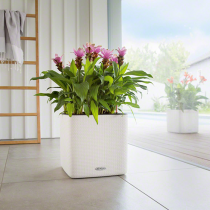 Lechuza Cube LS COLOR 35 серый