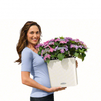 Lechuza Cube LS COLOR 35 серый