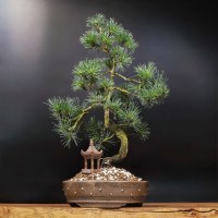 ленинский_1833