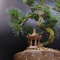 ленинский_19