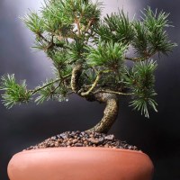 ленинский_1