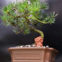 ленинский_32