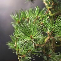 ленинский_34