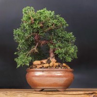 ленинский_3