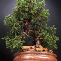 ленинский_4