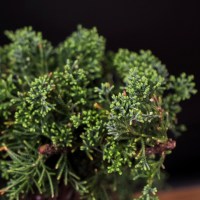 ленинский_5