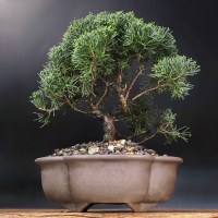 ленинский_6