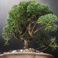 ленинский_7