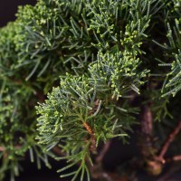 ленинский_8